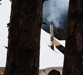 Winter forest yurt